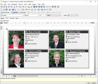 Демонстрационный проект Report Workshop и ScaleRichView: редактор отчётов в режиме чтения